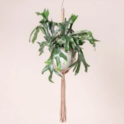 The Palm Centre -The Palm Centre 357 scaled 1