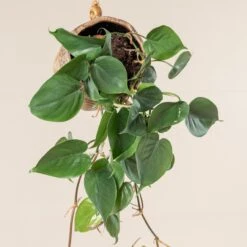 The Palm Centre -The Palm Centre 377 scaled 1