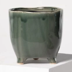 Indoor Pot Kaat – Green -The Palm Centre 3934 1