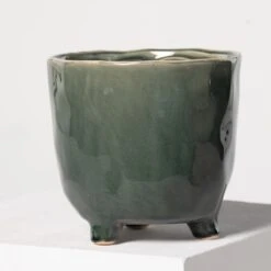 Indoor Pot Kaat – Green -The Palm Centre 3935 1