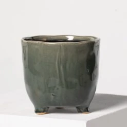 Indoor Pot Kaat – Green -The Palm Centre 3936 1