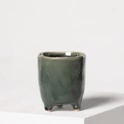 Indoor Pot Kaat – Green -The Palm Centre 3937 1