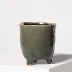 Indoor Pot Kaat – Green -The Palm Centre 3938 1