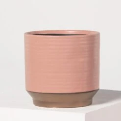 Indoor Pot Suze – Pink -The Palm Centre 3994