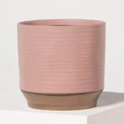 Indoor Pot Suze – Pink -The Palm Centre 3995