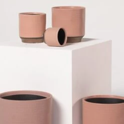 Indoor Pot Suze – Pink -The Palm Centre 3997