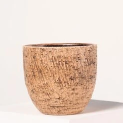 Indoor Pot Karlijn – Camel 14 Indoor Pot Karlijn – Camel -The Palm Centre 4056