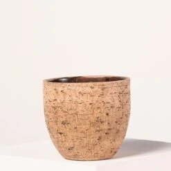 Indoor Pot Karlijn – Camel 15 Indoor Pot Karlijn – Camel -The Palm Centre 4057
