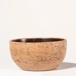 Indoor Pot Karlijn – Camel 16 Indoor Pot Karlijn – Camel -The Palm Centre 4058