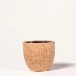 Indoor Pot Karlijn – Camel 17 Indoor Pot Karlijn – Camel -The Palm Centre 4059