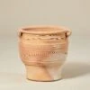 Palm Cretan Outdoor Pot 1 Palm Cretan Outdoor Pot -The Palm Centre CRET PM 60efbeec3e3a2