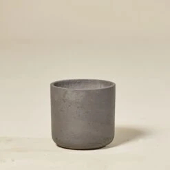 The Palm Centre -The Palm Centre ECL B 60efc60fcfc6c