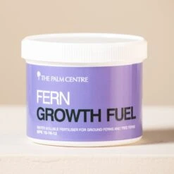 Fern Growth Fuel -The Palm Centre G 18697 5fb67359f2bac
