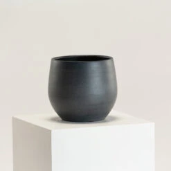 Indoor Pot Esra – Black -The Palm Centre IND EB 20