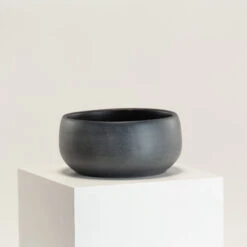 Indoor Pot Esra – Black -The Palm Centre IND EBB