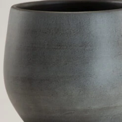 The Palm Centre -The Palm Centre IND ES 2