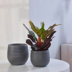 Indoor Pot Esra Mystic – Grey -The Palm Centre IND ES 6