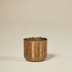 The Palm Centre -The Palm Centre IND FL 60efe65ca3735