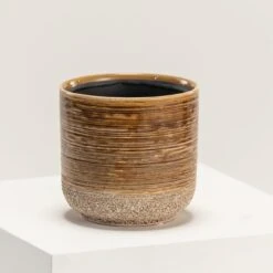 Indoor Pot Issa – Yellow -The Palm Centre IND IY15 5 scaled 1