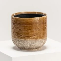 Indoor Pot Issa – Yellow -The Palm Centre IND IY17 6 scaled 1