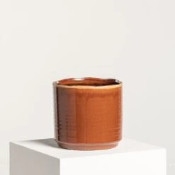 Indoor Pot Jordy – Caramel -The Palm Centre IND JO 8 2 scaled 1