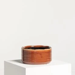 Indoor Pot Jordy – Caramel -The Palm Centre IND JO10 3 scaled 1