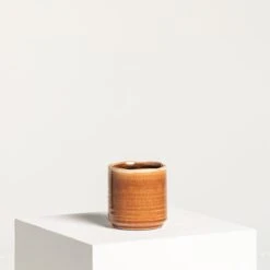 Indoor Pot Jordy – Caramel -The Palm Centre IND JO11 5 scaled 1