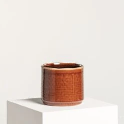 Indoor Pot Jordy – Caramel -The Palm Centre IND JO15 7 scaled 1