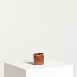 Indoor Pot Jordy – Caramel -The Palm Centre IND JO7 4 scaled 1