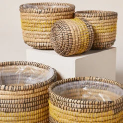 Indoor Pot Jane – Savana 9 Indoor Pot Jane – Savana -The Palm Centre IND JSA 6199392c30108