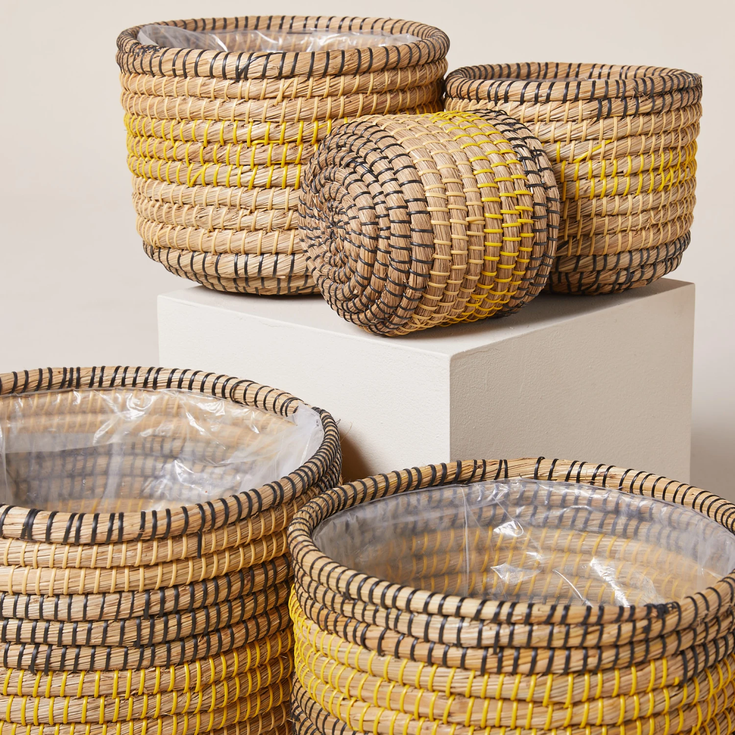 Indoor Pot Jane – Savana 6 Indoor Pot Jane – Savana - Image 4