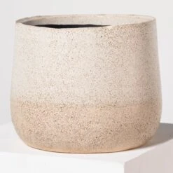 Indoor Pot Iris – Sand -The Palm Centre I 18210 5efdaa8a40490