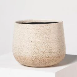 Indoor Pot Iris – Sand -The Palm Centre I 18210 5efdaa8bff810