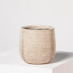 Indoor Pot Iris – Sand -The Palm Centre I 18210 5efdaa8cd6262