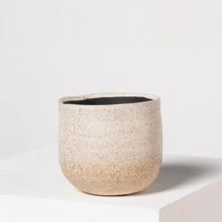 Indoor Pot Iris – Sand -The Palm Centre I 18210 5efdaa8dba551