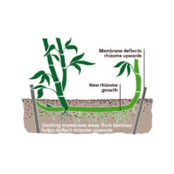 Bamboo Root Barrier -The Palm Centre Root Barrier2