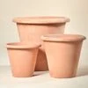 Frizzone – Outdoor Terracotta Pot -The Palm Centre TS FRI 60c8a0eb46f9d1
