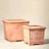 Postino Square – Outdoor Terracotta Pot 1 Postino Square – Outdoor Terracotta Pot -The Palm Centre TS POST 60c8a45d197bb1