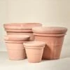 Tuscan Standard – Terracotta -The Palm Centre TS ST 60c8b6457d0f6